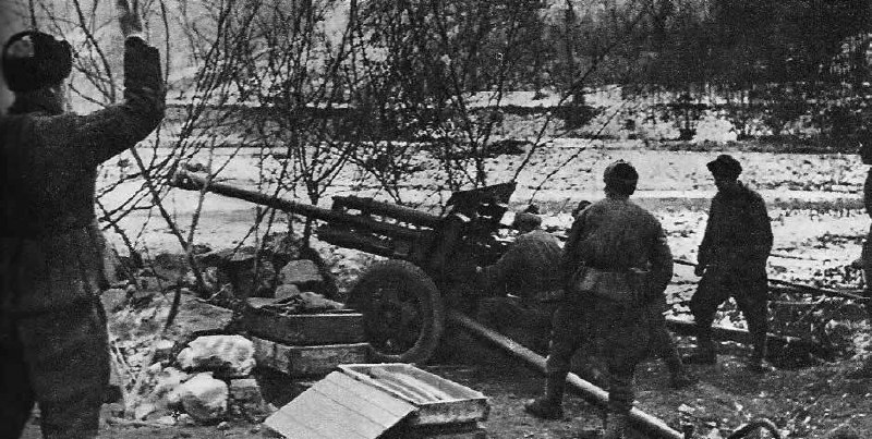 82 года назад, 12 ноября 1942 года, завершилась Нальчикско-Орджоникидзевская оборонительная операция.