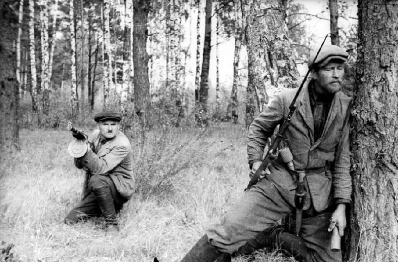 Дневное сообщение Совинформбюро 30 июля 1943 года
