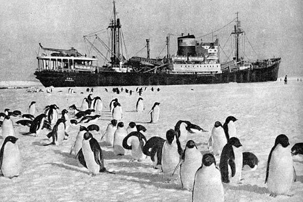 🗓️ 5 января 1956 года к берегам Антарктиды доставлена первая советская комплексная Антарктическая экспедиция
