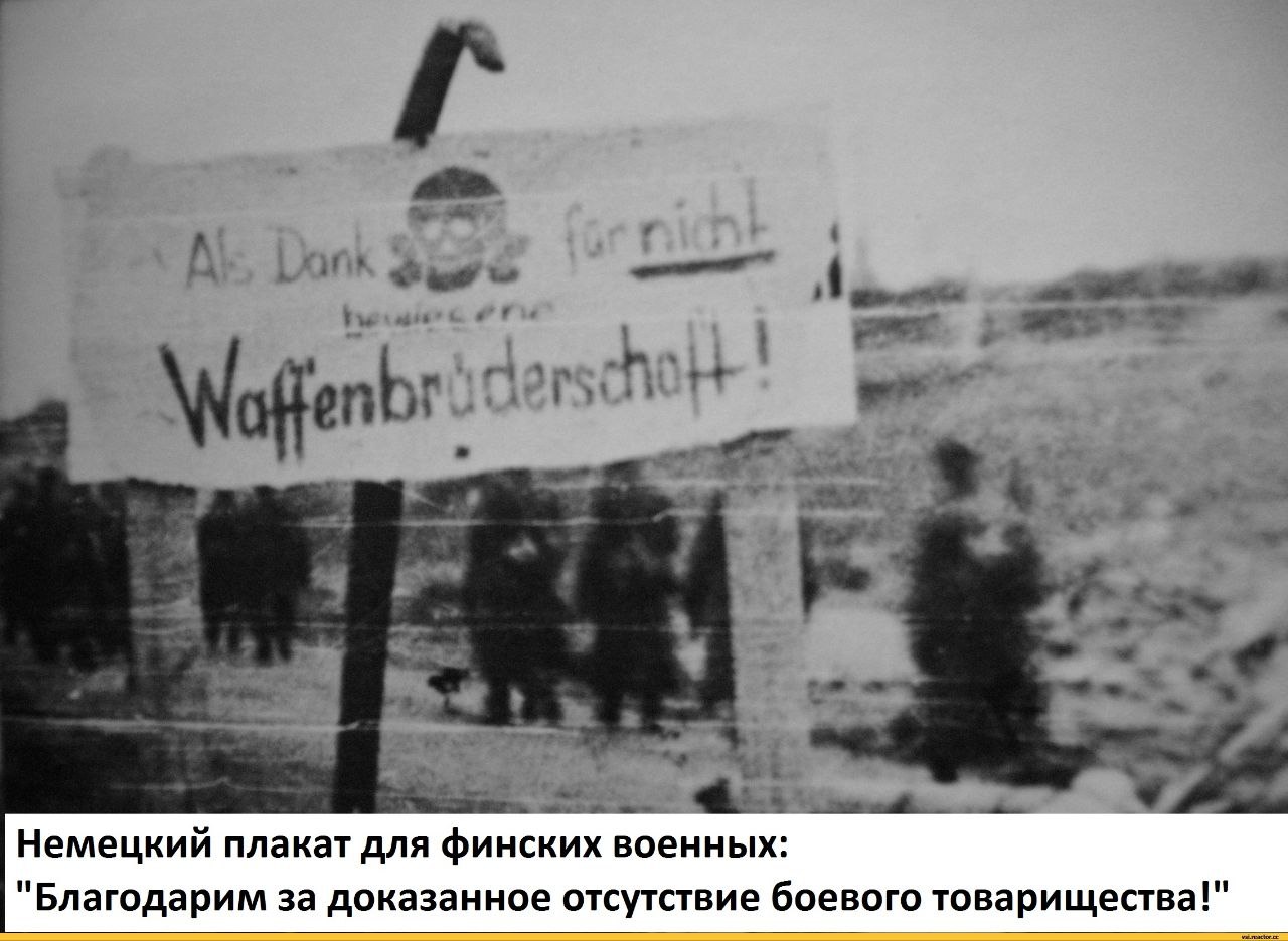 80 лет назад, 15 сентября 1944 года, началась Лапландская «война» Финляндии против Германии.