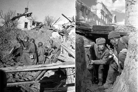 В районе Сталинграда 8 октября 1942 года продолжались ожесточённые бои. Отражая атаки немцев, наши артиллеристы уничтожили до батальона вражеской пехоты, 5 немецких танков, до 70 автомашин, 40 повозок с боеприпасами, подавили огонь 6 артиллерийских и 10 миномётных батарей противника. Огневыми налётами гвардейцев-миномётчиков по войскам противника подбито и сожжено 8 танков, рассеяно и уничтожено до роты немецкой пехоты. 