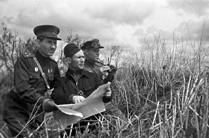 Дневное сообщение Совинформбюро 27 ноября 1941 года: