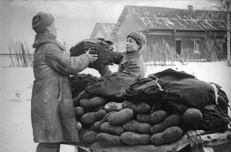 Сводка Совинформбюро за 2 декабря 1943 года