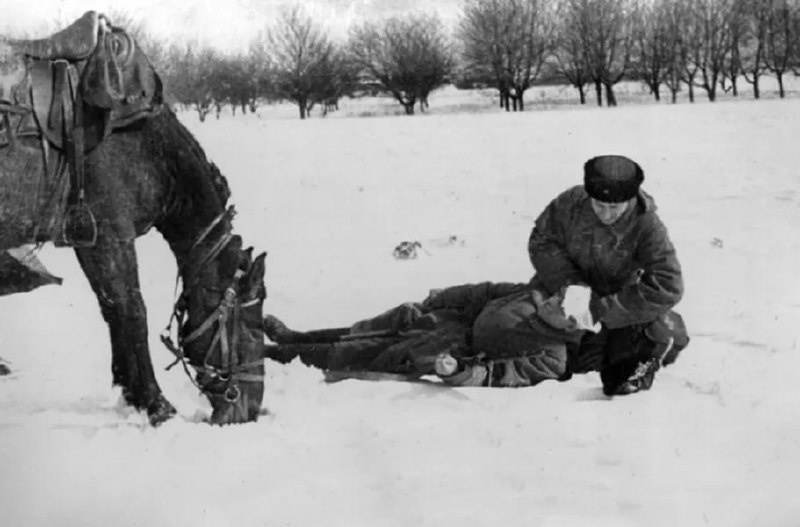 Сводка Совинформбюро за 3 декабря 1943 года