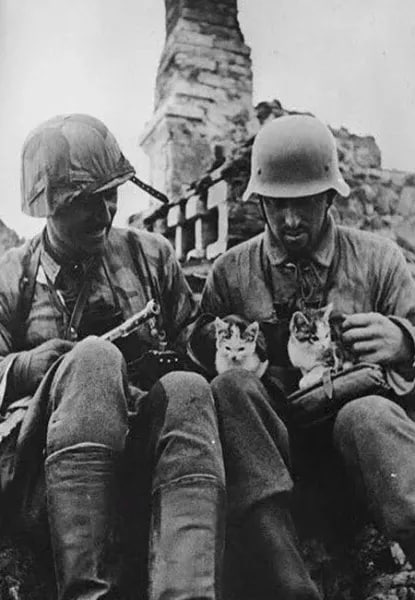 Дневное сообщение Совинформбюро 21 декабря 1942 года