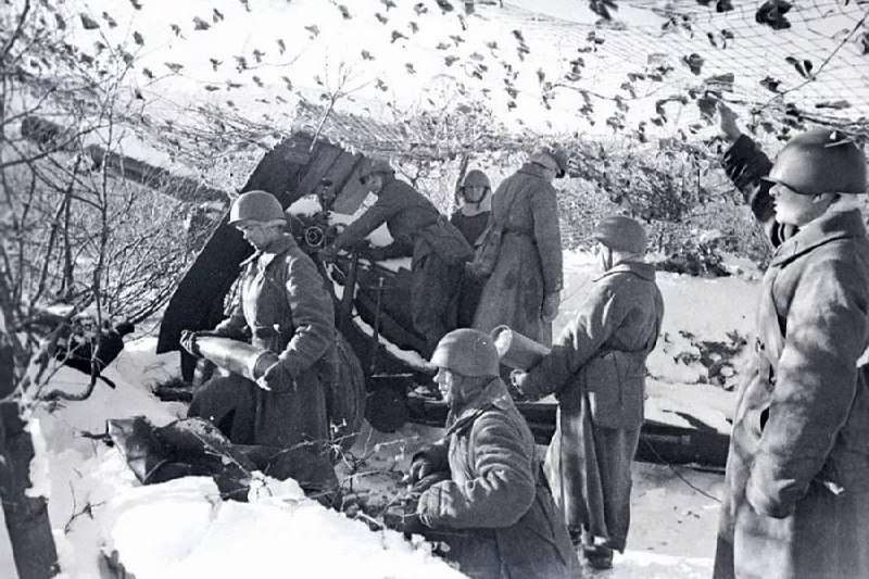 Дневное сообщение Совинформбюро 6 января 1943 года