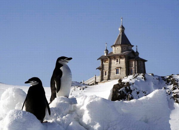 22 февраля 1968 года открыта первая советская антарктическая станция «Беллинсгаузен»