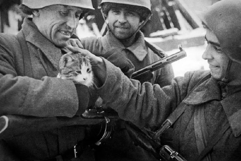 Дневное сообщение Совинформбюро 23 февраля 1943 года