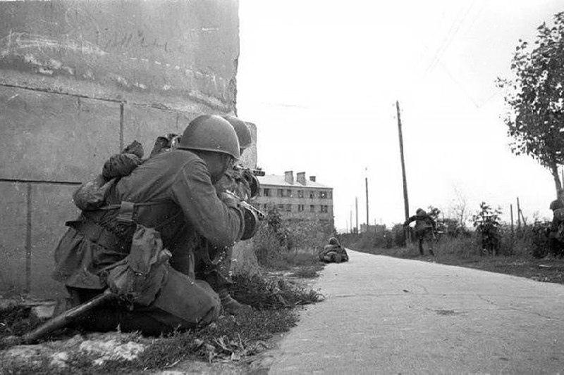 Дневное сообщение Совинформбюро 12 мая 1943 года