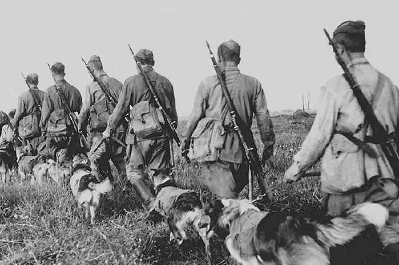 Дневное сообщение Совинформбюро 21 мая 1943 года