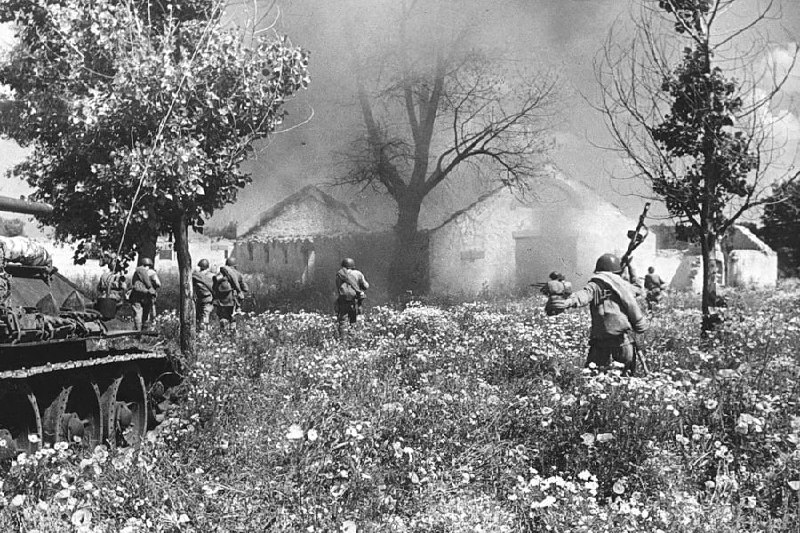 Дневное сообщение 24 мая 1943 года