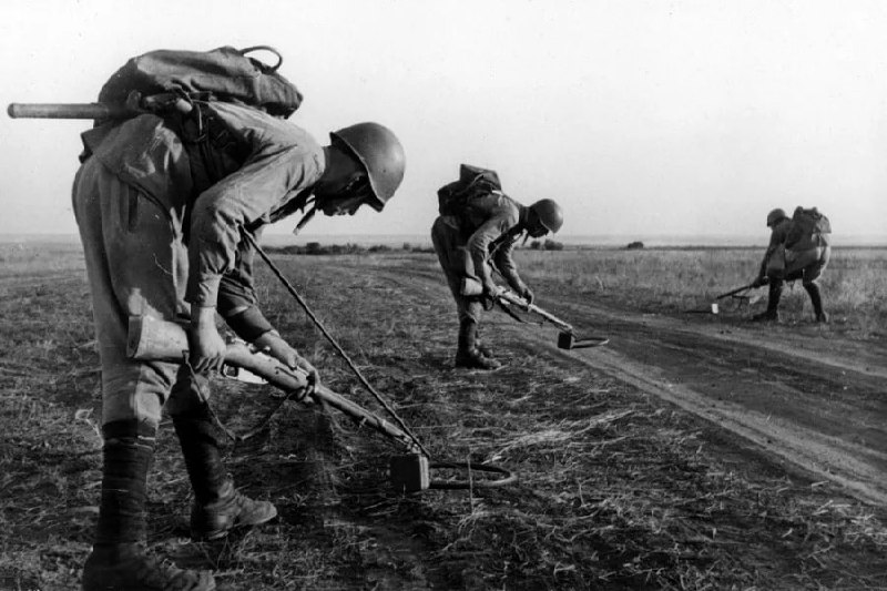 Дневное сообщение Совинформбюро 8 июня 1943 года