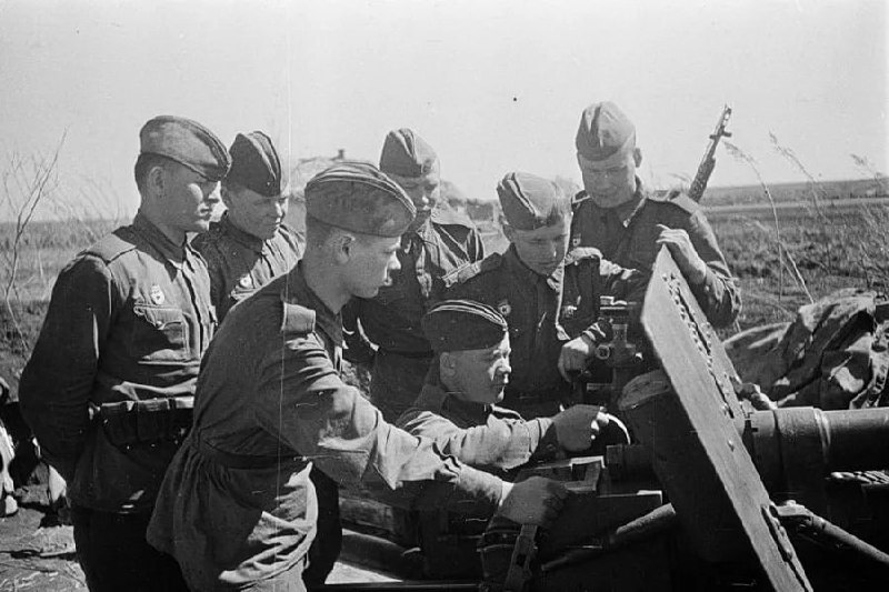 Дневное сообщение Совинформбюро 15 июня 1943 года