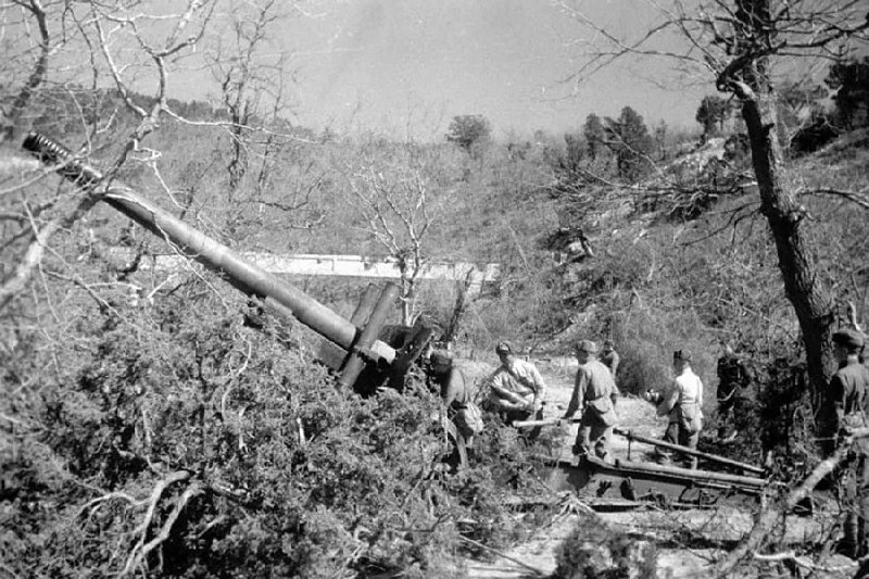 Дневное сообщение Совинформбюро 29 июня 1943 года