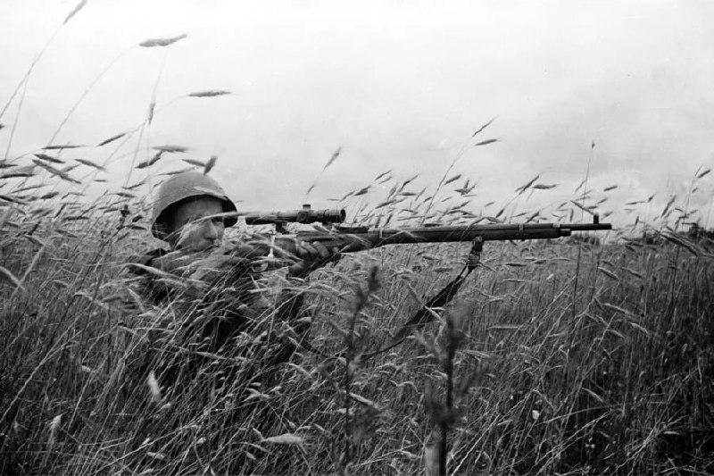 Дневное сообщение Совинформбюро за 8 июля 1943 года