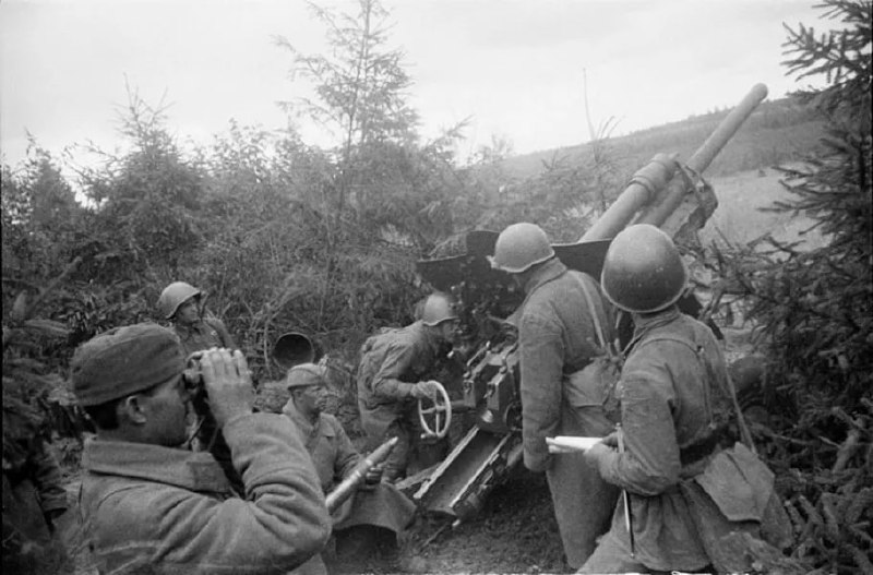 Дневное сообщение Совинформбюро 28 июля 1943 года