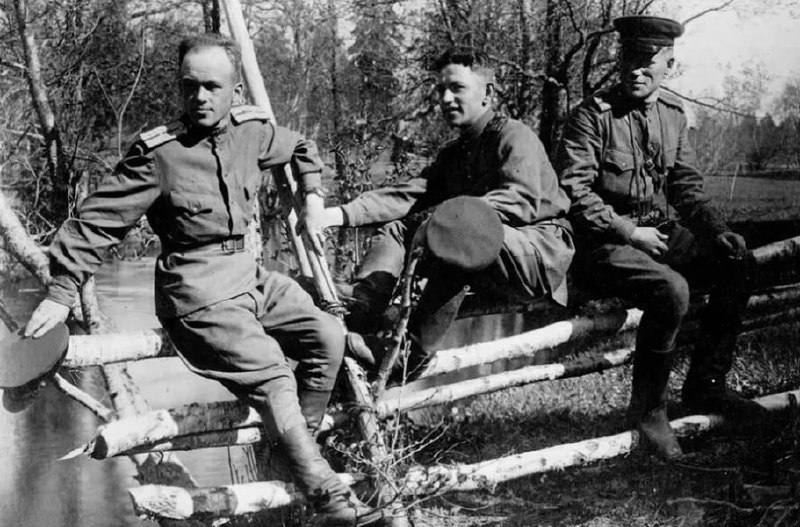 Дневное сообщение Cовинформбюро 31 июля 1943 года